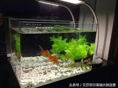 魚缸注水之后視覺變形（魚缸注水之后視覺變形是什么？） 魚缸百科 第5張