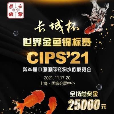 上海魚缸選秀（上海魚缸選秀是一個與上海地區(qū)的魚缸相關(guān)的活動或評選結(jié)果） 魚缸百科 第2張