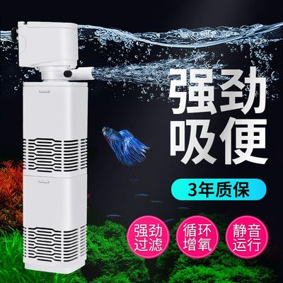 魚缸過濾器能增氧嗎（魚缸過濾器可以增氧嗎） 魚缸百科 第4張