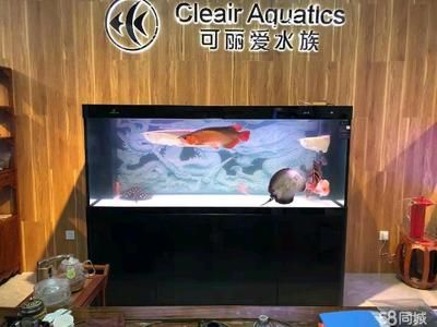 可麗愛(ài)魚缸售后維修電話24h（可麗愛(ài)魚缸售后電話） 魚缸百科 第3張