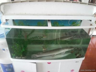 上海魚缸品牌十大排名（上海魚缸品牌十大排名上海魚缸品牌十大排名）