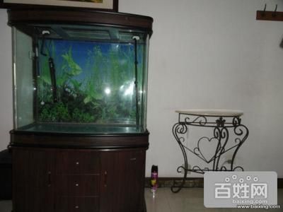 上海魚缸品牌十大排名（上海魚缸品牌十大排名上海魚缸品牌十大排名）