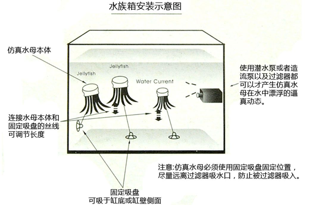 魚缸過(guò)濾器怎樣安裝潛水泵視頻講解（魚缸過(guò)濾器安裝潛水泵） 魚缸百科 第3張