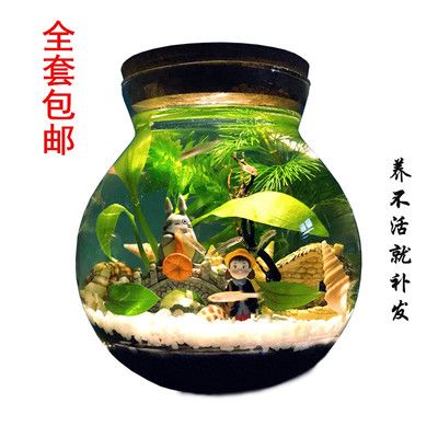 魚缸可不可以不換水（魚缸可不可以不換水取決于多種因素，取決于多種因素） 魚缸百科 第1張