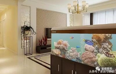 家里魚缸放在正對門口（家里魚缸放在正對門口有什么風水講究？）