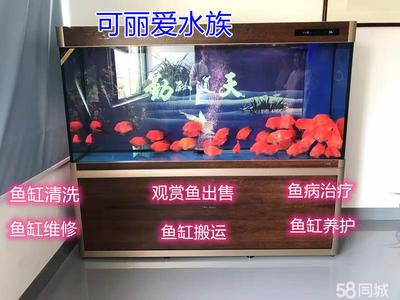 可麗愛魚缸官網(wǎng)維修（可麗愛魚缸官網(wǎng)維修服務） 魚缸百科 第1張