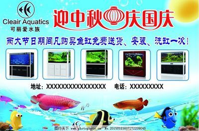 可麗愛魚缸安裝視頻教程（可麗愛魚缸文字版安裝教程） 魚缸百科 第2張