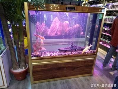 辦公室里放魚缸最佳位置（辦公室放魚缸的最佳位置） 魚缸百科 第3張