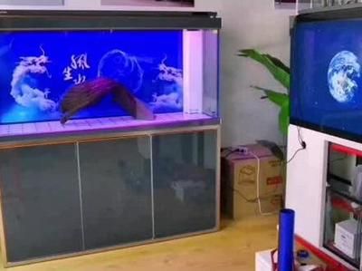 森森魚缸各型號及價格（森森魚缸各型號及價格，森森魚缸各型號及價格及其價格）