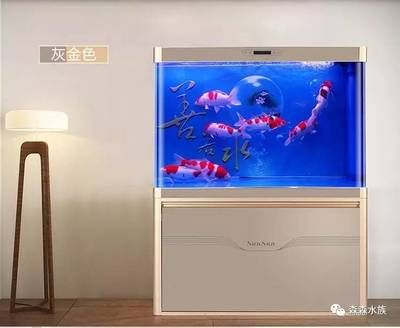 森森魚缸各型號及價格（森森魚缸各型號及價格，森森魚缸各型號及價格及其價格）