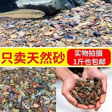 魚缸多少錢1斤（魚缸多少錢1斤魚缸多少錢）