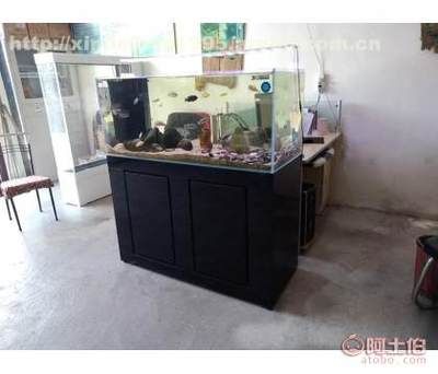 啥品牌魚缸好（啥品牌魚缸好,翠綠色不耐用，透明度不高，易變形） 魚缸百科 第1張