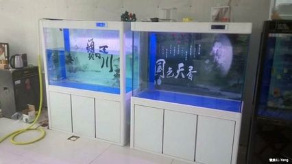 魚缸定制廠家電話（魚缸定制廠家電話,上海華宇水族科技有限公司） 魚缸百科 第2張