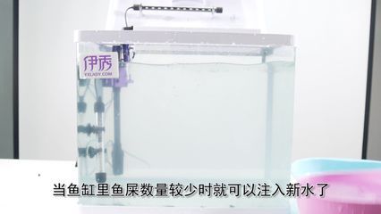 魚缸還用換水嗎（魚缸是否需要換水） 魚缸百科 第5張