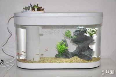 魚缸造景制作方法