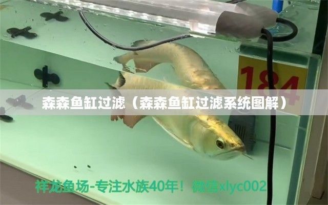 森森魚缸過濾桶原理圖