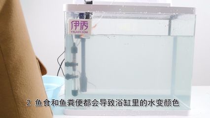 魚缸水發(fā)渾發(fā)白怎么處理