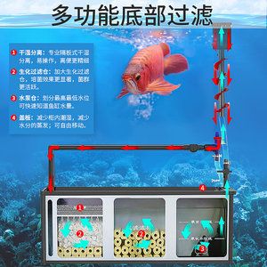 1.5米魚缸多久換水 魚缸百科 第2張