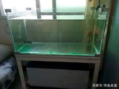 魚缸多長時間消一次毒 魚缸百科 第3張