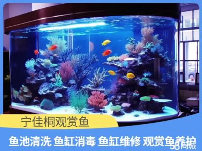 魚缸修復電話（養(yǎng)魚過程中魚缸的維護非常重要但有時會出現(xiàn)漏水、過濾器故障等問題）