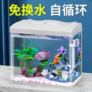 森森魚(yú)缸下水聲音大解決方法（森森魚(yú)缸下水聲音大） 魚(yú)缸百科 第5張