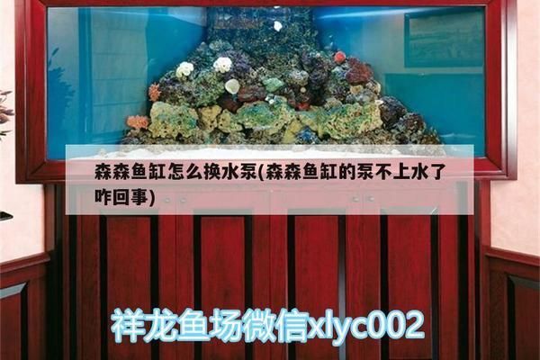 森森魚缸的泵不上水了咋回事（森森魚缸的泵不上水了咋回事森森魚缸的泵不上水了咋回事）