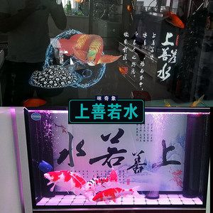 魚缸選哪個品牌（魚缸選哪個品牌好） 魚缸百科 第1張