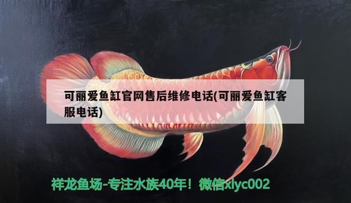 可麗愛(ài)魚缸維修點(diǎn)在哪里（可麗愛(ài)魚缸維修點(diǎn)） 魚缸百科 第1張