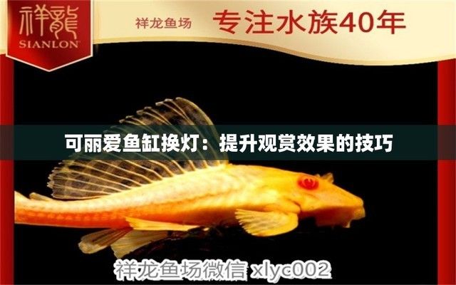 可麗愛魚缸燈維修圖解（可麗愛魚缸燈維修圖解可麗愛魚缸燈維修圖解）