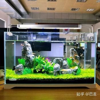 森森魚缸官方旗艦店（森森魚缸官方旗艦店怎么樣）