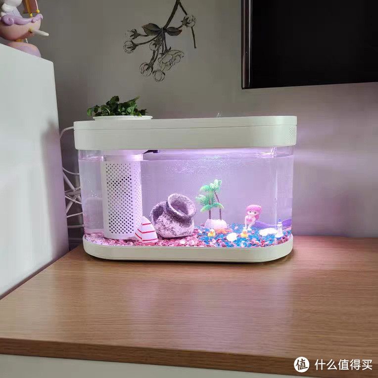 魚缸購買推薦品牌（推薦品牌魚缸購買推薦品牌）