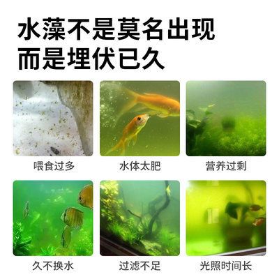 除藻劑倒入魚缸多久換水（除藻劑倒入魚缸后是否需要換水以及何時換水） 魚缸百科 第2張