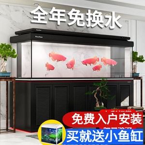 森森魚缸安裝視頻底濾（森森魚缸安裝視頻底濾怎么找？） 魚缸百科 第2張