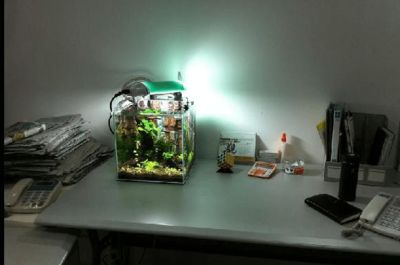 魚缸漏水維修電話