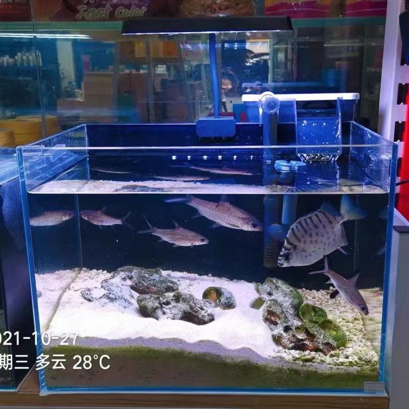 魚缸燈品牌十大排名（魚缸燈十大排名） 魚缸百科 第4張