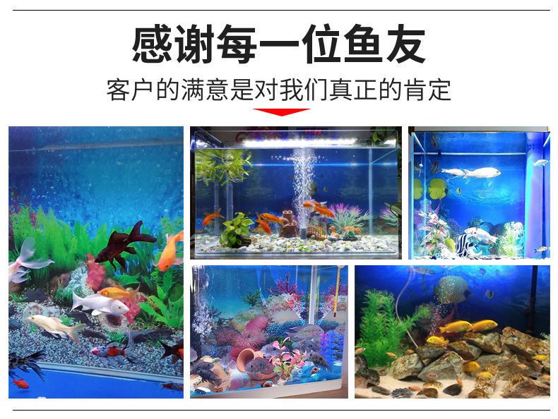 魚缸圖片 壁紙（在尋找魚缸壁紙圖片時(shí)，您可以考慮以下幾個(gè)方面的方面） 魚缸百科 第4張