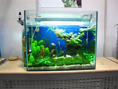 魚缸買什么類型最好（亞克力魚缸買什么類型最好） 魚缸百科 第1張