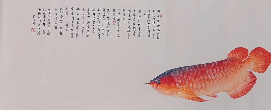 龍魚水墨畫（死去的龍魚經(jīng)過專業(yè)師傅打磨制作成畫）