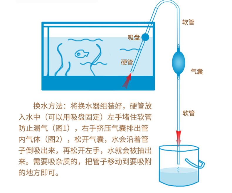 魚缸不用經(jīng)常換水辦法（養(yǎng)魚缸不經(jīng)常換水怎么辦） 魚缸百科 第3張