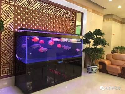 一般魚(yú)缸能用幾年壽命（魚(yú)缸使用壽命一般在8-10年左右但具體使用壽命還需考慮上述） 魚(yú)缸百科 第3張