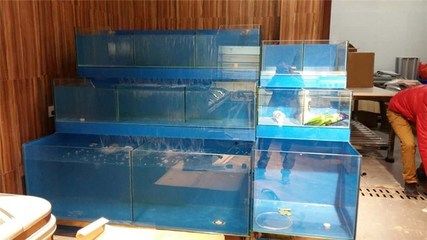 魚缸換新水需要加鹽嗎為什么（魚缸換新水需要加鹽嗎） 魚缸百科 第4張