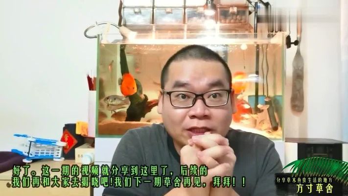 魚缸過濾羊絨棉好嗎（羊絨棉與其他過濾材料比較如何正確清洗羊絨棉的使用壽命） 龍魚百科 第1張