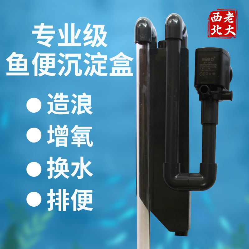 sebo魚缸過濾器怎么安裝（sebo過濾器維護(hù)周期魚缸過濾器選型指南） 龍魚百科 第1張