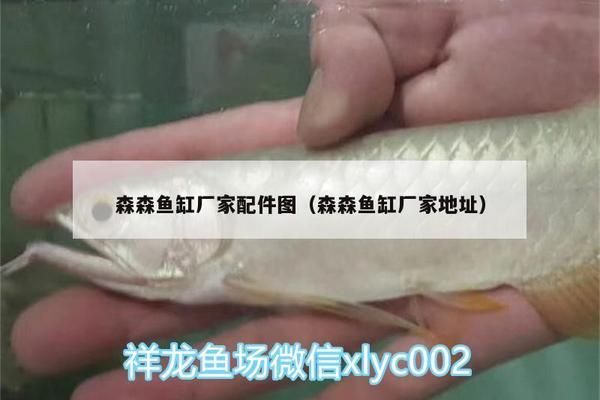 森森魚缸廠家配件圖（森森魚缸操作造浪泵體安裝教程視頻魚缸配件適配器使用方法） 龍魚百科 第4張