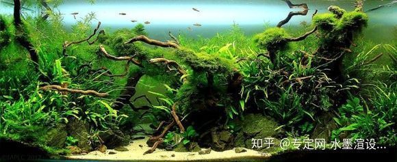 玻璃膠粘魚缸能用幾年壽命（魚缸密封膠日常維護方法） 龍魚百科 第4張