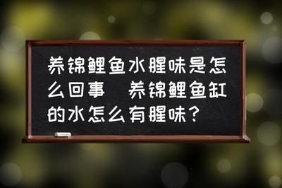 魚缸的水兩天就有味怎么處理（魚缸異味如何快速消除？） 龍魚百科 第6張