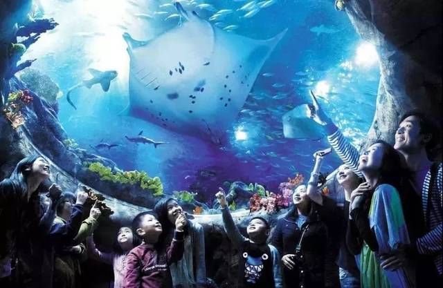 香港水族館（海洋公園海洋館門票預(yù)訂）