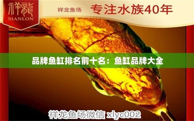 全國十大品牌魚缸（2024年全國十大品牌魚缸） 龍魚百科 第5張