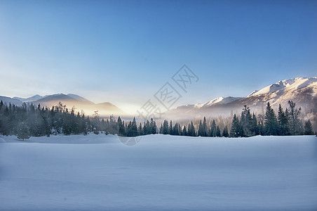 頂級(jí)龍魚鎖屏壁紙高清（頂級(jí)龍魚鎖屏壁紙高清圖片、龍魚壁紙拍攝技巧分享） 龍魚百科 第3張