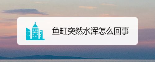 魚(yú)缸的水渾是怎么回事（如何改善魚(yú)缸水渾的解決方法魚(yú)缸水渾的解決方法） 龍魚(yú)百科 第6張